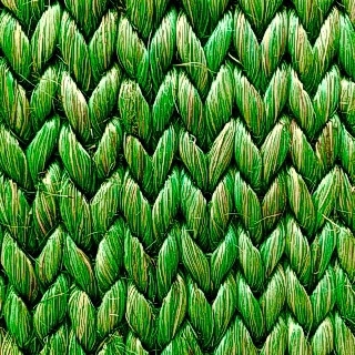 Abaca:- Herringbone Poison Green